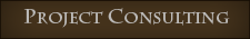 commercial consulting